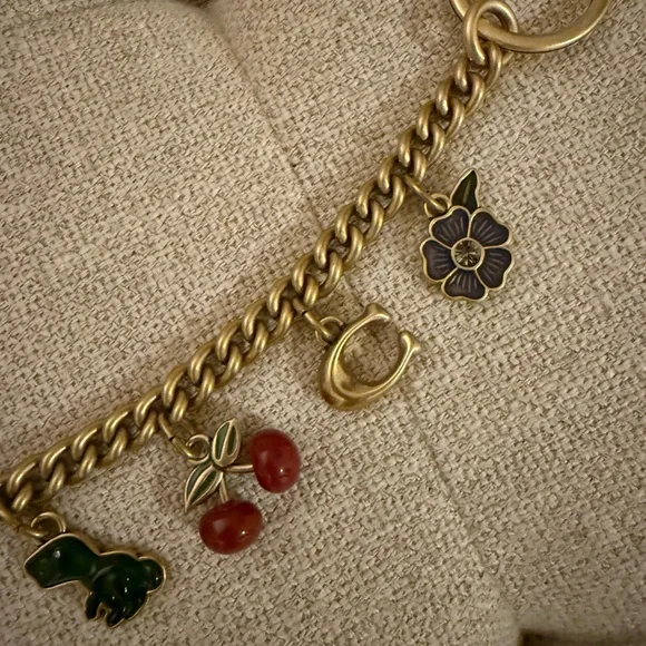 Coach Bag Chain - Picture 2 of 4